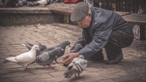 What makes you happy Sage Venu